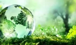 Kinh nghiệm mua viên rửa bát