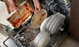 Viên rửa bát hữu cơ