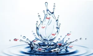 Nước cứng khi rửa bát bằng máy