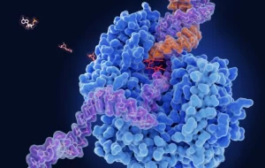 enzyme sinh học trong bột rửa bát