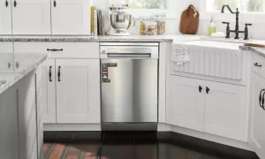 máy rửa bát