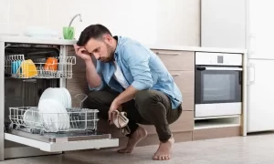 Máy rửa bát bị bám cặn gây ra tiếng ồn
