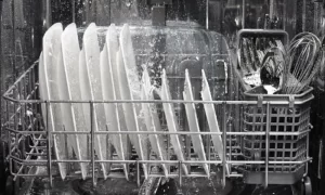 Máy rửa bát kêu bất thường