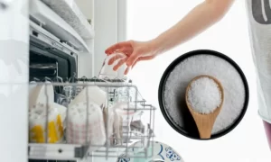 máy rửa bát báo hết muối