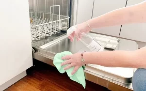 vệ sinh máy rửa bát bosch
