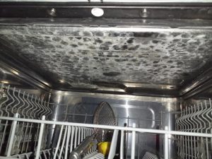 Hậu quả không dùng muối rửa bát