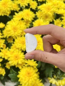 Viên rửa chén sinh học Satos